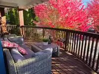 143 MAPLE DRIVE - thumbnail 31