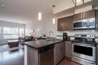 101 20219 54A AVENUE - thumbnail 15