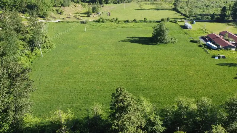 58661 DENT ROAD - photo 1 of 12