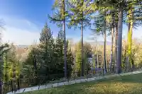 5319 234 STREET - thumbnail 33