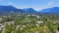 49 1910 CEDAR VILLAGE CRESCENT - thumbnail 38