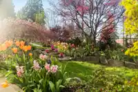 2983 SURF CRESCENT - thumbnail 30