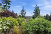 8099 WILTSHIRE PLACE - thumbnail 35