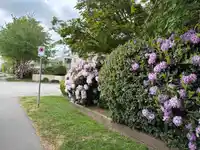 158 10077 156 STREET - thumbnail 2