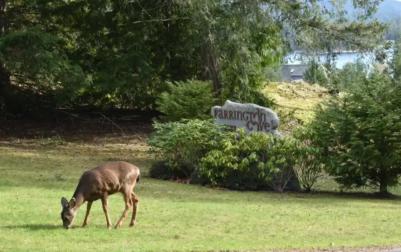 7 4622 SINCLAIR BAY ROAD - photo 1 of 19