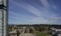 1804 699 WHITING WAY - thumbnail 6
