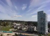 1804 699 WHITING WAY - thumbnail 8