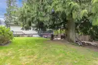20535 98 AVENUE - thumbnail 35