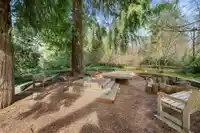 3318 MT SEYMOUR PARKWAY - thumbnail 33
