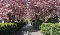 20469 91B AVENUE - thumbnail 40