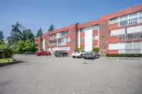 303 32025 TIMS AVENUE - thumbnail 31