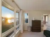 1550 BLANCA STREET - thumbnail 26