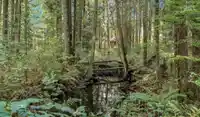 12712 CATHY CRESCENT - thumbnail 22