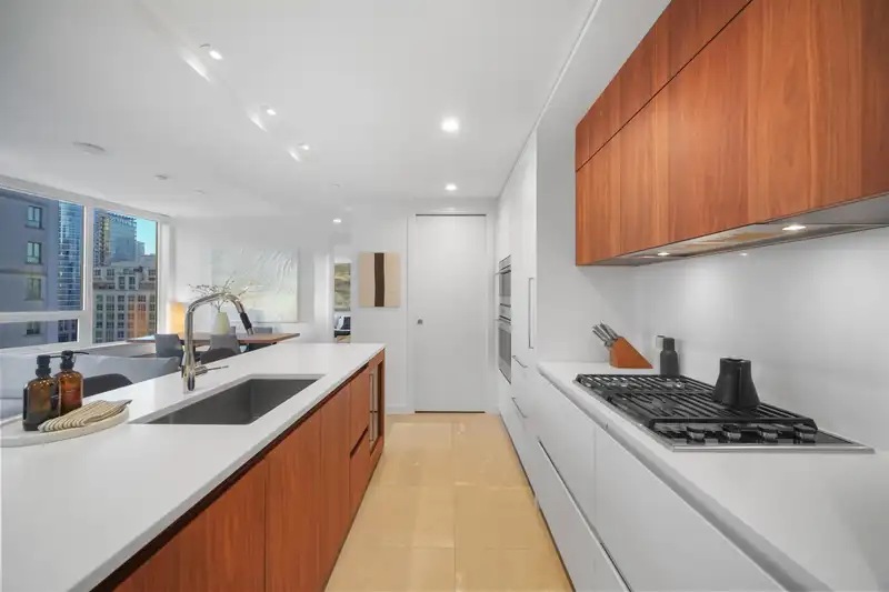 1405 885 CAMBIE STREET - photo 3 of 30