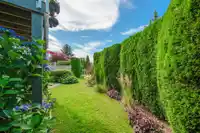 46 9012 WALNUT GROVE DRIVE - thumbnail 5