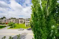 323 5650 201A STREET - thumbnail 28