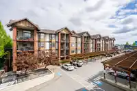 323 5650 201A STREET - thumbnail 30