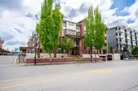 323 5650 201A STREET - thumbnail 31