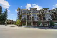 202 20376 86 AVENUE - thumbnail 31