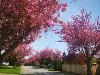 15759 101 AVENUE - thumbnail 1