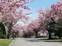 15759 101 AVENUE - thumbnail 27