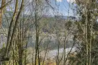 526 CARDIFF WAY - thumbnail 16