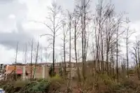 210 7920 206 STREET - thumbnail 24