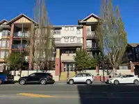 348 5660 201A STREET - thumbnail 2