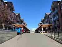 348 5660 201A STREET - thumbnail 29