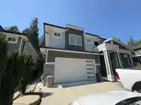 11353 242A STREET - thumbnail 1