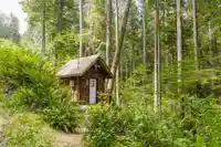 6084 NORTH LAKE ROAD - thumbnail 32
