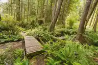 6084 NORTH LAKE ROAD - thumbnail 35