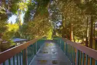 303 9150 SATURNA DRIVE - thumbnail 2