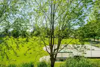 305 15313 19 AVENUE - thumbnail 9