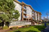 316 20219 54A AVENUE - thumbnail 21