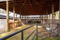 25039 8 AVENUE - thumbnail 30