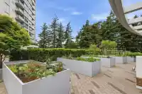 902 15165 THRIFT AVENUE - thumbnail 38
