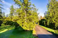 22872 78 AVENUE - thumbnail 37