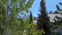 96 4355 NORTHLANDS BOULEVARD - thumbnail 5