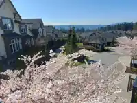 62 3400 DEVONSHIRE AVENUE - thumbnail 29