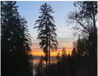 301 560 RAVEN WOODS DRIVE - thumbnail 3