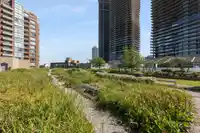 2603 4808 HAZEL STREET - thumbnail 32