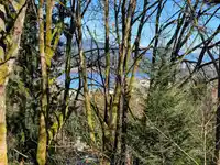 1134 CHATEAU PLACE - thumbnail 29
