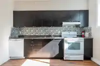 46054 ROBERTSON AVENUE - thumbnail 14