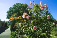 2283 204A STREET - thumbnail 38
