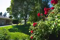 2283 204A STREET - thumbnail 39