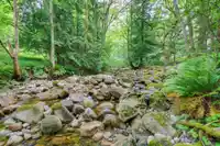 316 301 MAUDE ROAD - thumbnail 28