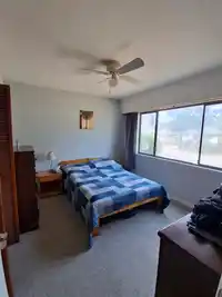 11352 82A AVENUE - thumbnail 12