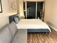 1007 1008 CAMBIE STREET - thumbnail 11