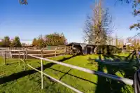 4370 224 STREET - thumbnail 24